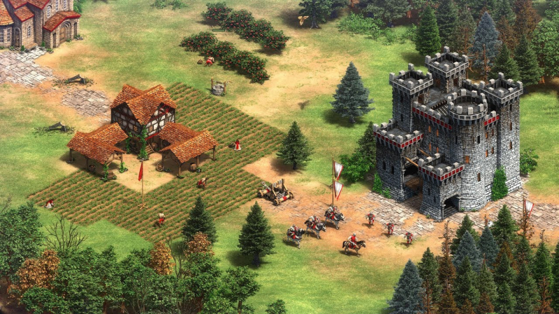 Age of Empires II - charakterystyka „Mistrza miecza”